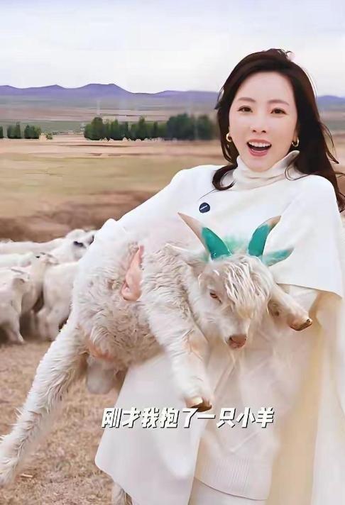 一辆大众ID.Buzz绕地行驶445天 途经92国创下吉尼斯世界纪录